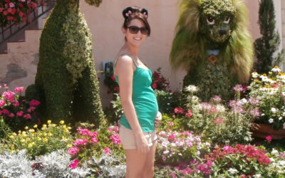 Going to the Walt Disney World® Resort While Pregnant
