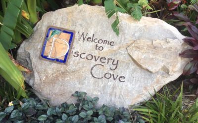 Discovery Cove: Central Florida’s All-Inclusive Tropical Day Resort