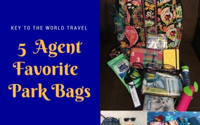 5 Agent Favorites: Park Bags That Hold It All Together!