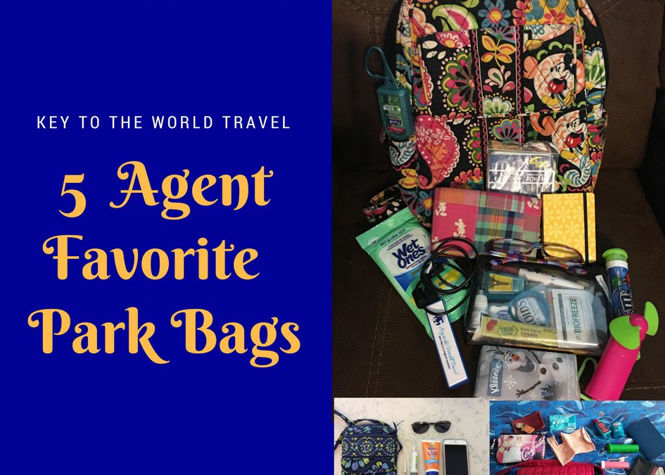 5 Agent Favorites: Park Bags That Hold It All Together!