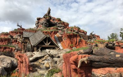 A Fastpass+ Primer for the Walt Disney World® Resort
