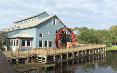 Disney’s Port Orleans Resort – Riverside: An Overview