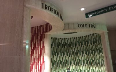 Disney Cruise Line Rainforest at Senses Spa – Everything you Need to Know!