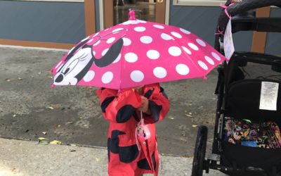 Tips to Survive the Rain at Walt Disney World®