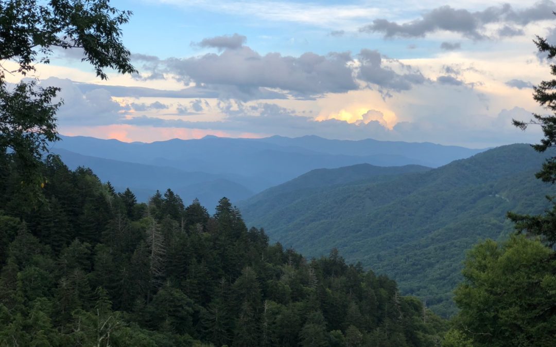 Pancakes, and Dolly, and bears, oh my! My family vacation to the Great Smoky Mountains