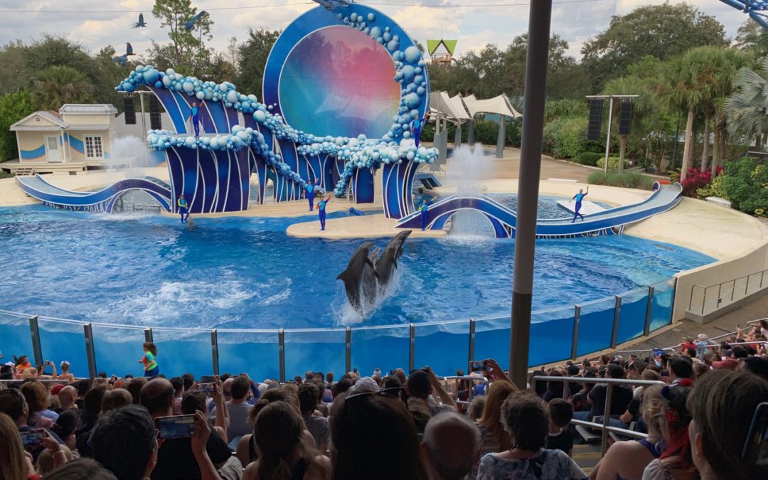 The Amazing Shows of SeaWorld® Orlando!