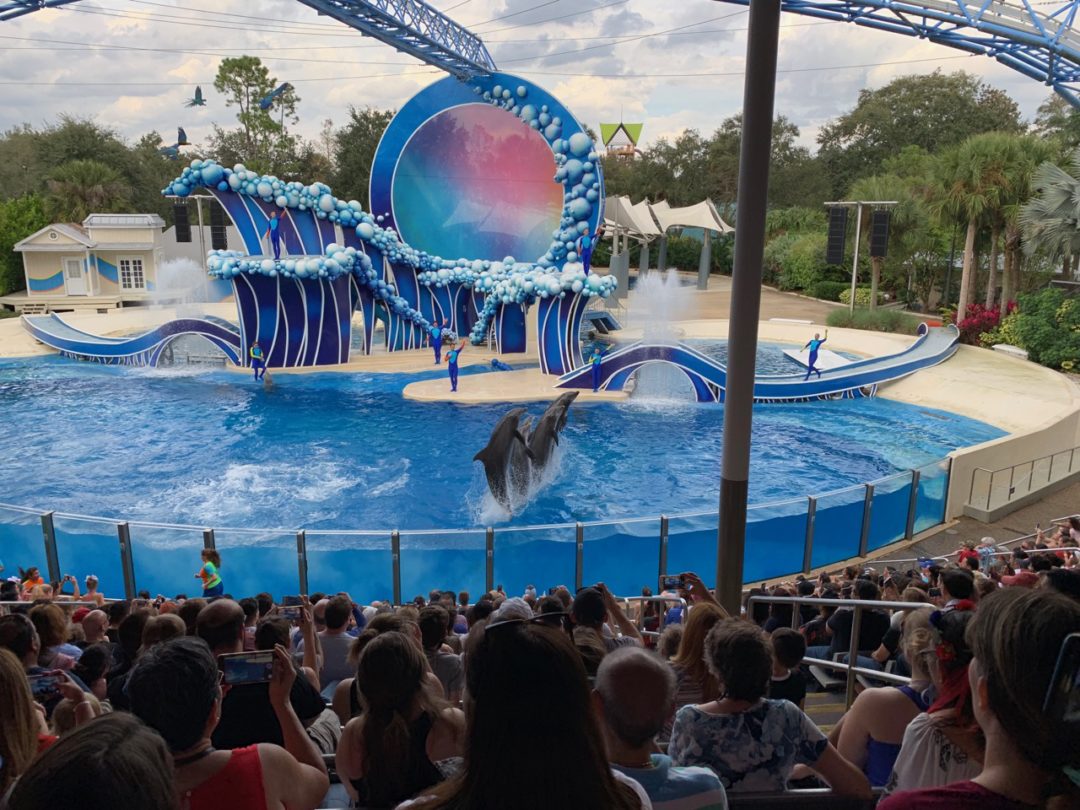 The Amazing Shows of SeaWorld® Orlando! Key To The World Travel