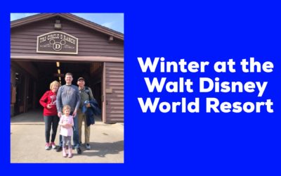 Winter at the Walt Disney World® Resort