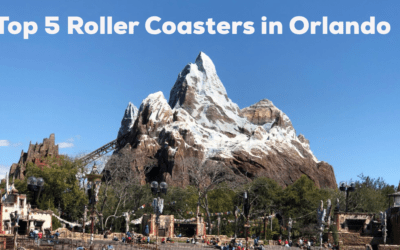 Top Five Roller Coasters in Orlando