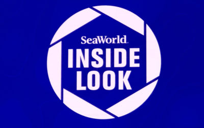 An Inside Look – a SeaWorld® Orlando Special Event
