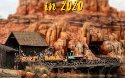 Walt Disney World® 2020 Vacation Package Reservations