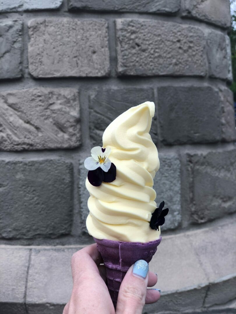 Snack Credit - Lost Princess