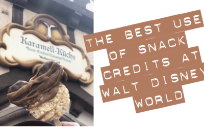 Best Use Of Snack Credits at Walt Disney World®