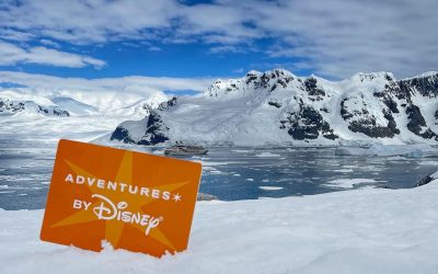 Antarctica Part 3 – Landing on the Bottom of the Earth