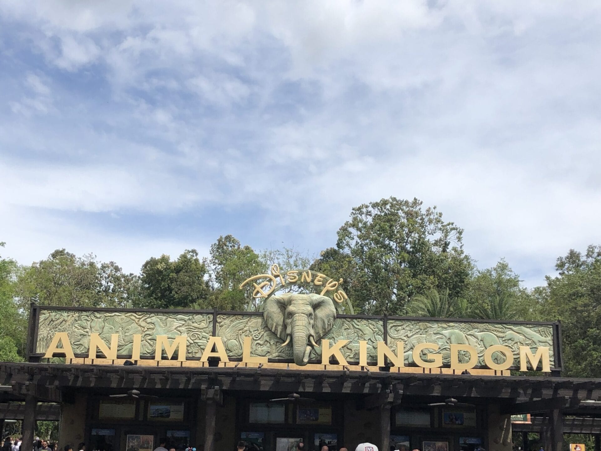 Disney's Animal Kingdom Touring Strategies