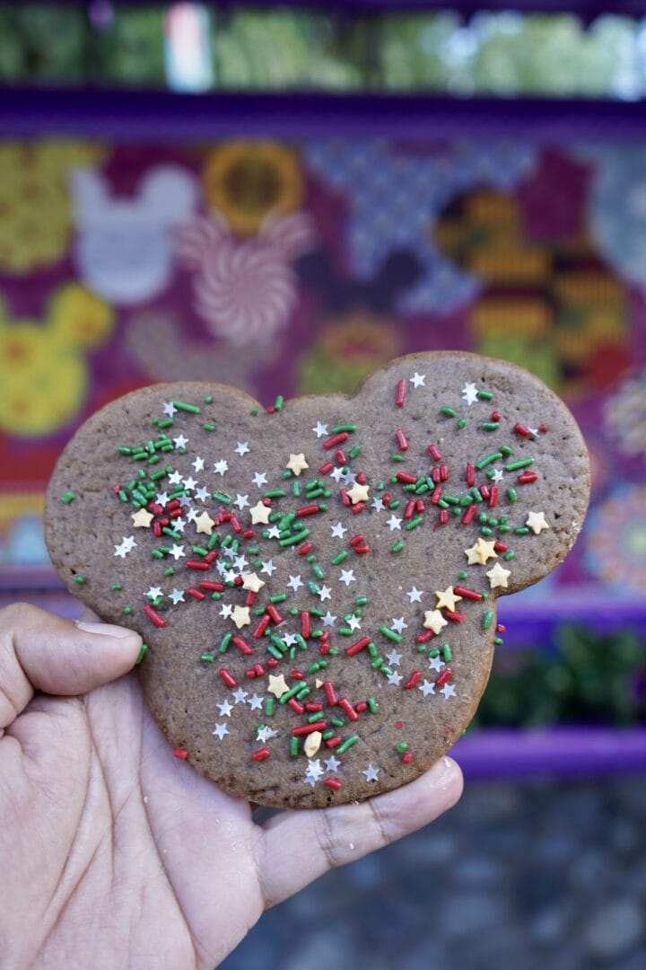 Holidays at Disneyland Resort