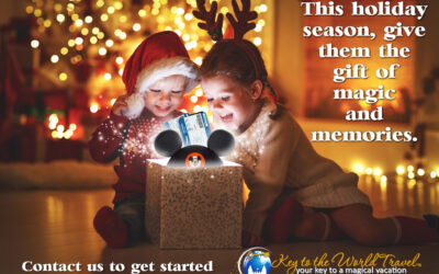 Disney World Magic Is The Perfect Holiday Gift