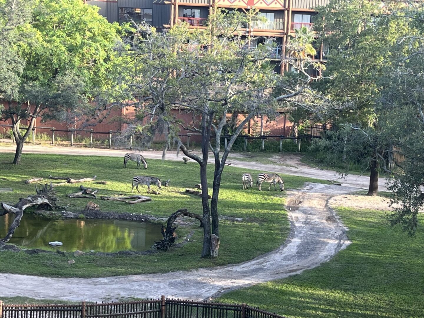 Disney's Animal Kingdom Lodge