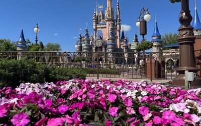 Complete Guide to the Magic Kingdom