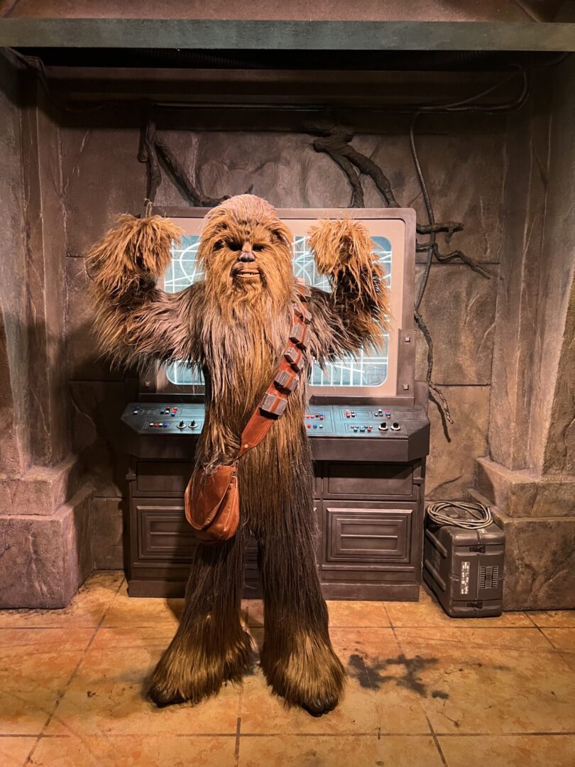 Guide to Characters at Walt Disney World