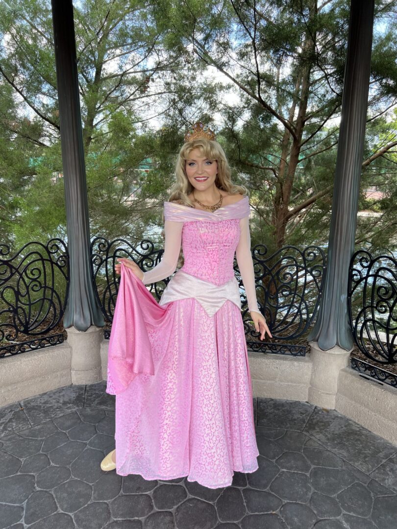 Reasons to love EPCOT - characters