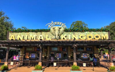 Disney’s Animal Kingdom Guide