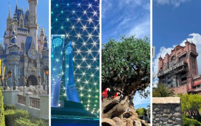 Guide to My Disney Experience