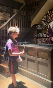 Boy standing by counter in Ollivander's Wand Shop, Diagon Alley, Universal Studios Orlando