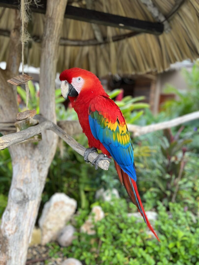 Keys to the Virgin Voyages