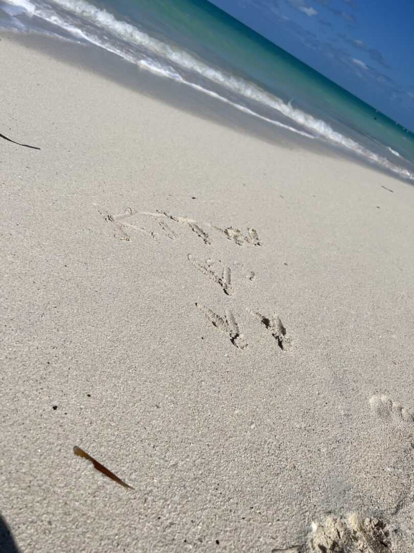 Keys to Virgin Voyages