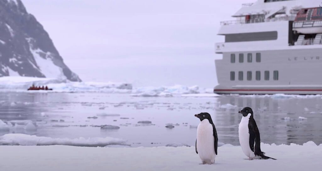 Adventures by Disney Antarctica, Penguin and cruise ship