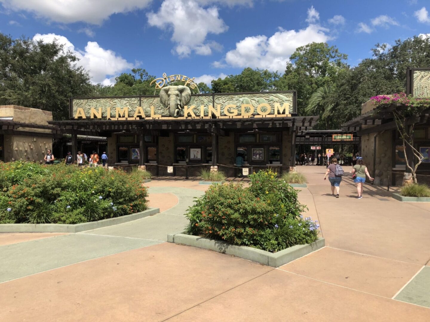 Disney's Animal Kingdom - Walt Disney World in the Summer