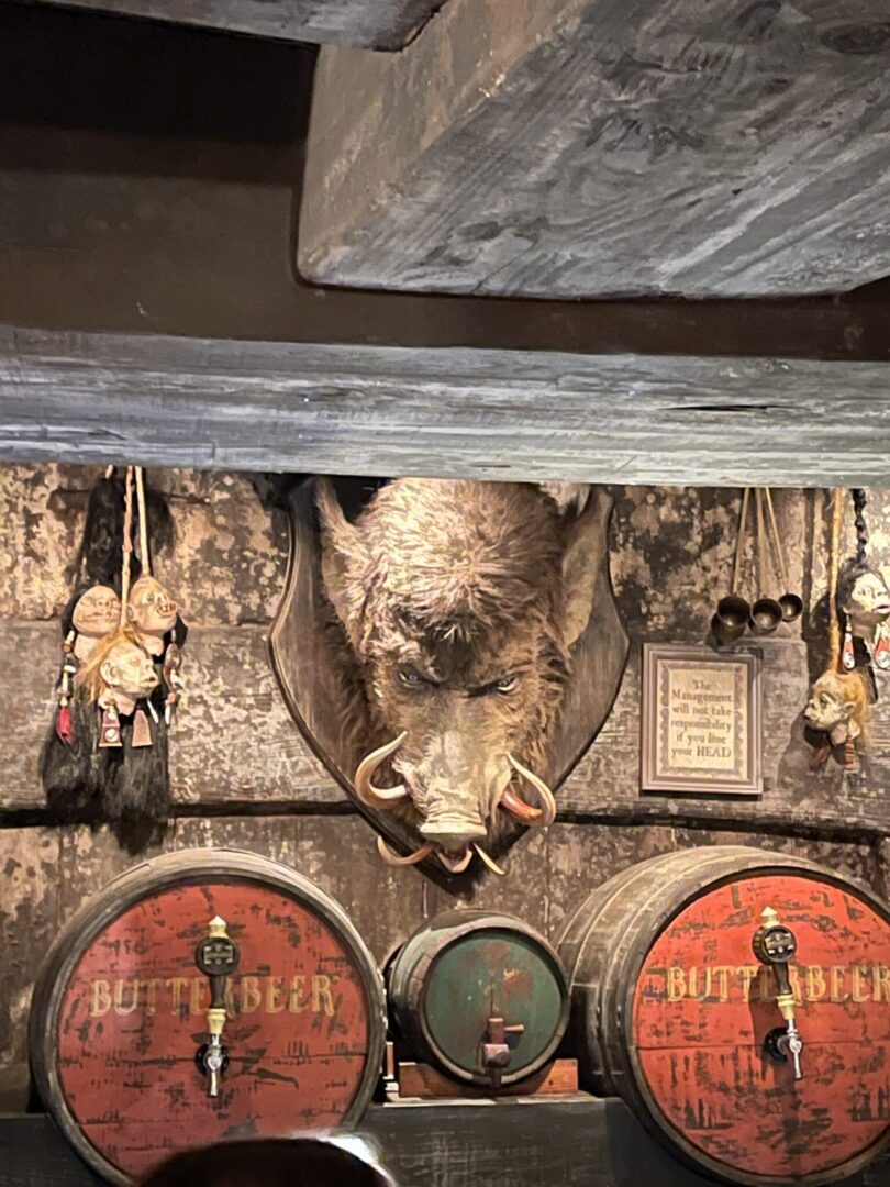 Hog's Head Bar in Hogsmeade