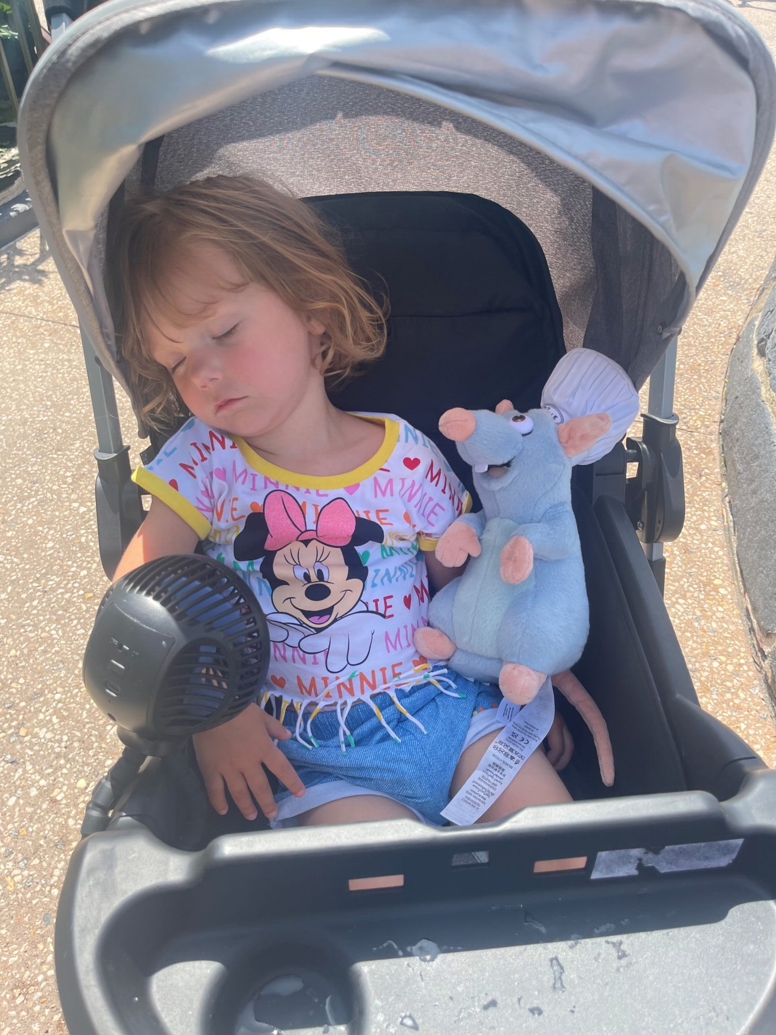 Toddler sleeping in stroller at Disney World