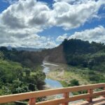 Dominican Republic jungle