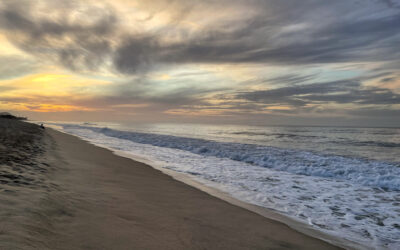 Guide to Summer Beach Destinations