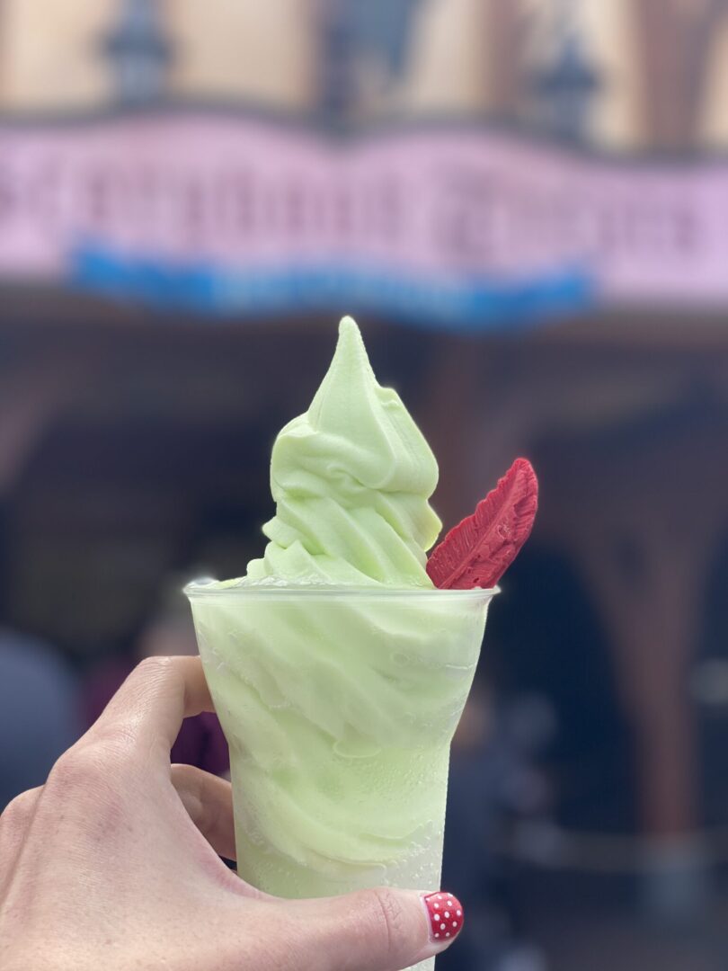Dining Plan snacks - Magic Kingdom