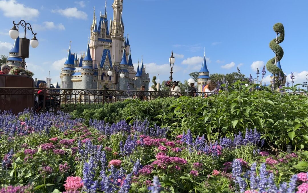 7 Reasons to Stay at a Disney Resort