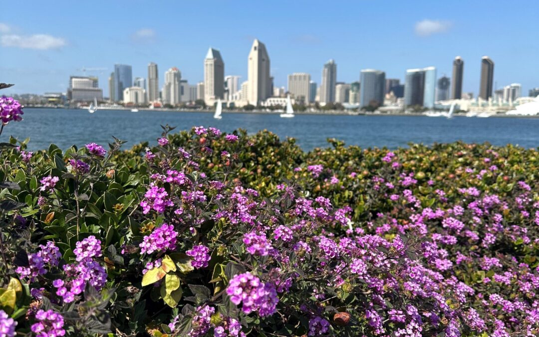 Exploring San Diego: Destination Spotlight