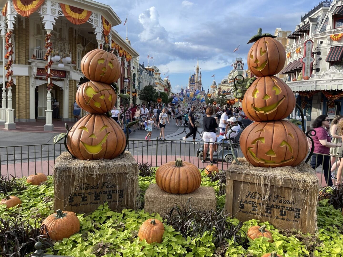 Magic Kingdom Halloween