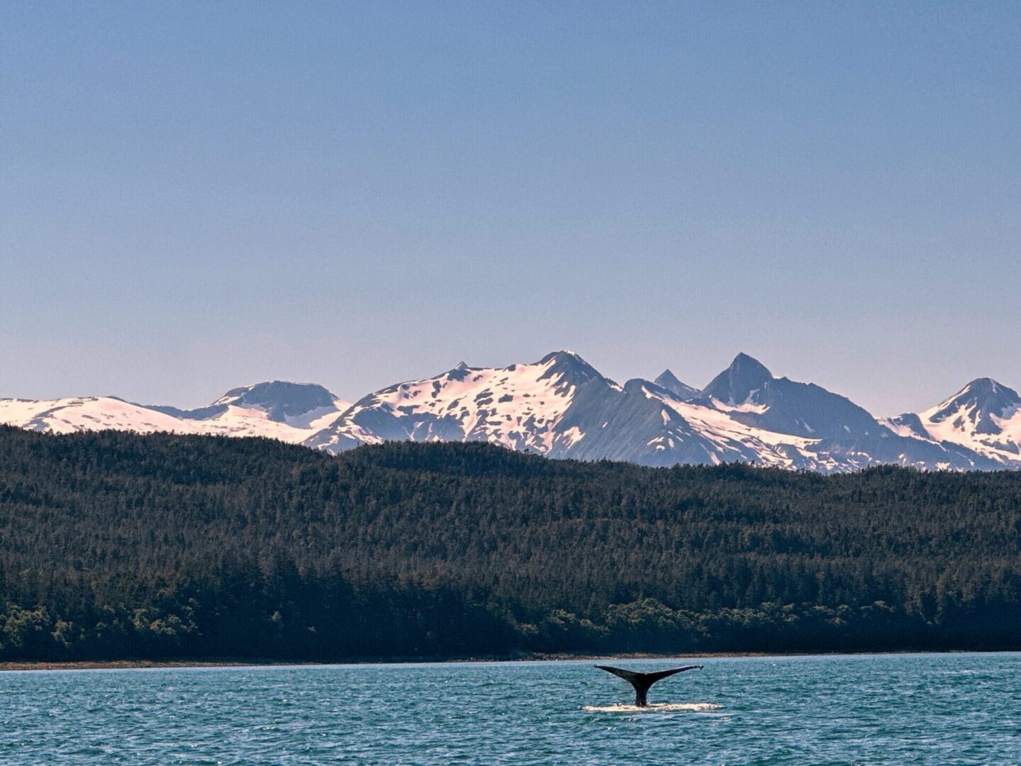 Alaskan cruise - Juneau
