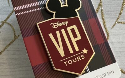 Keys to the Disney VIP Tour