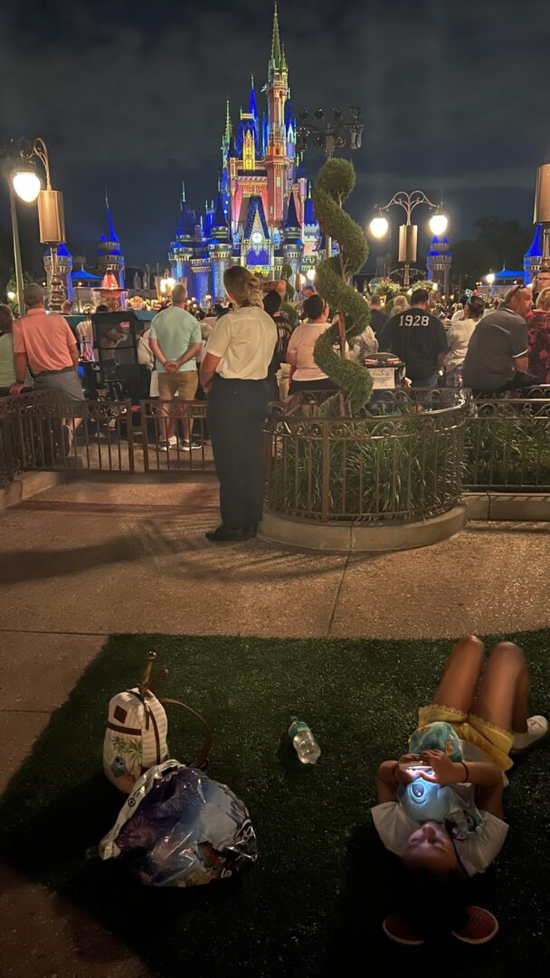 Disney VIP Tour