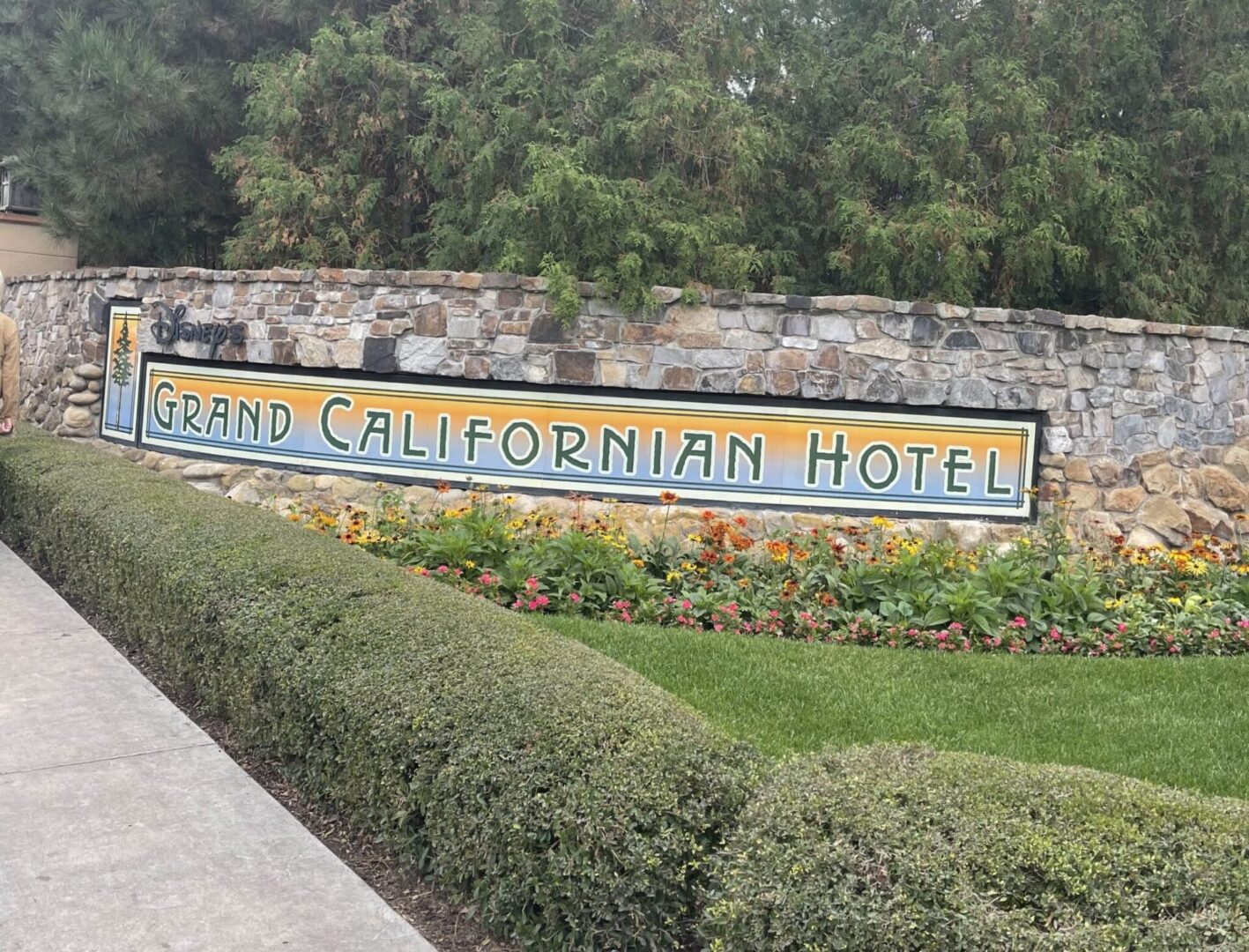 Visit to Disneyland Resort