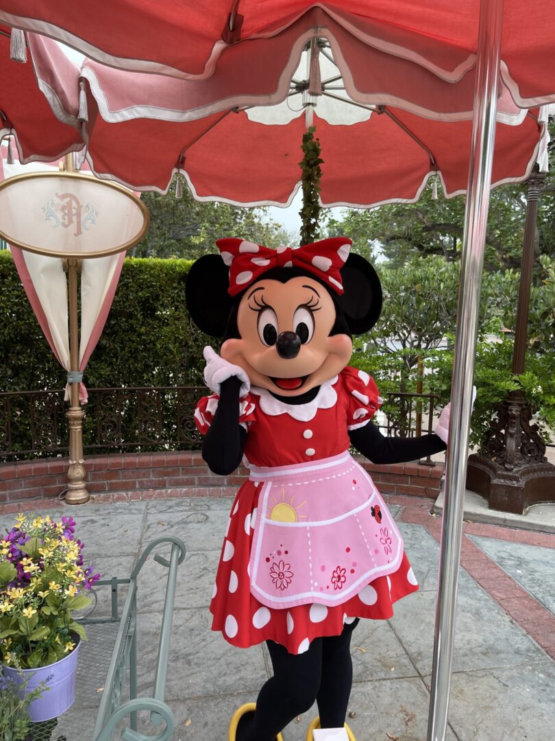 Disneyland characters