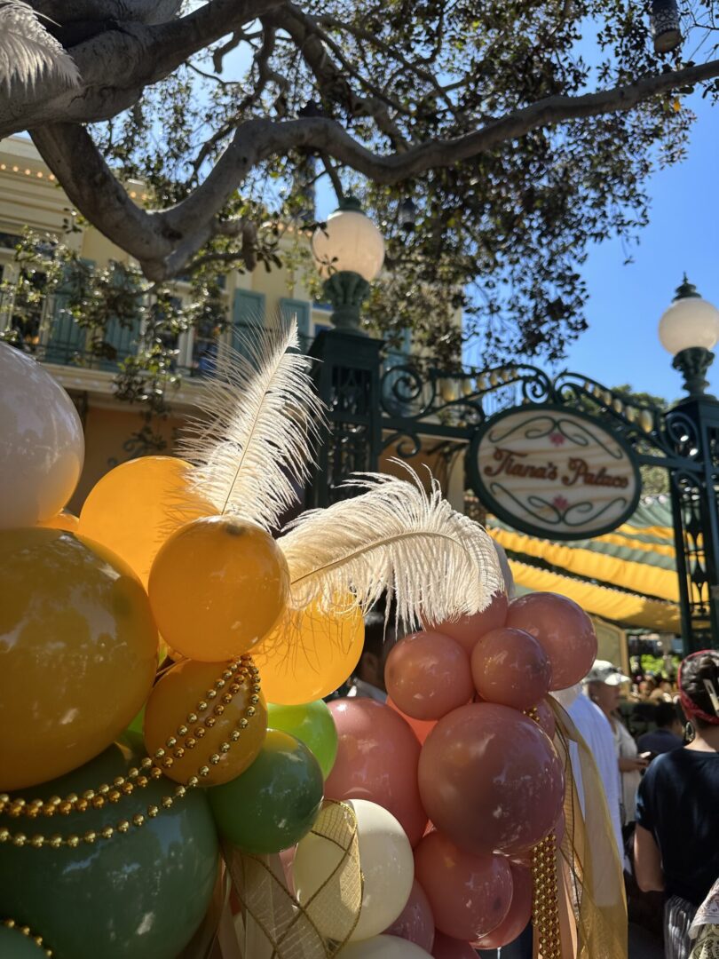 Tiana's Palace