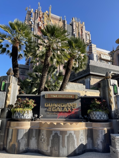 Visiting Disneyland