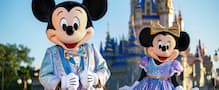 Walt Disney World Current Offers