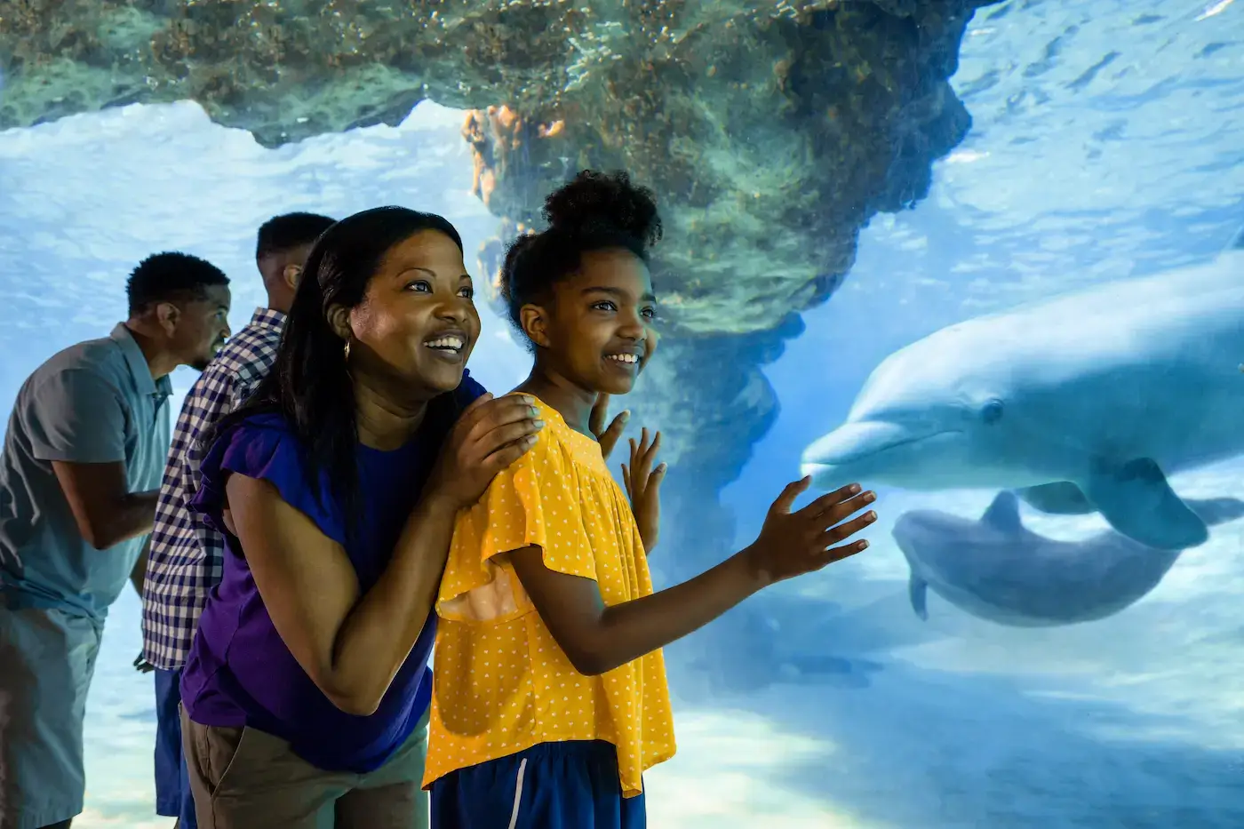 SeaWorld Vacation Packages