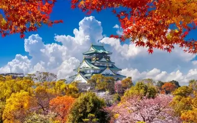 Japan Cruise Guide: Best Seasons and Highlights